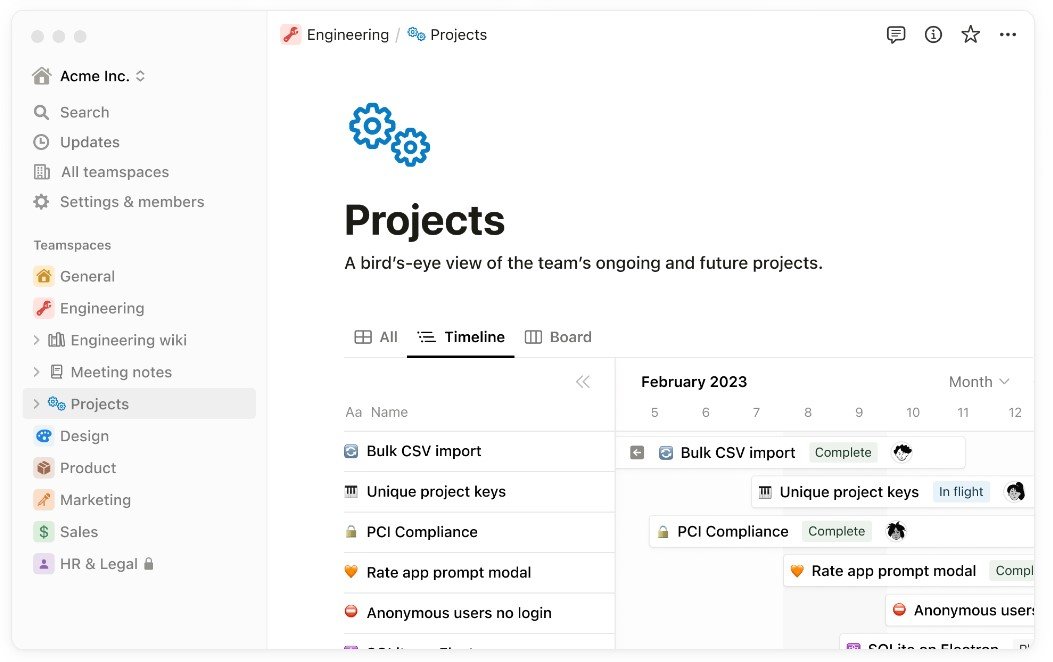 Review Notion projects