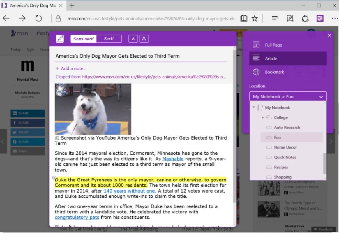 Alternatives to Pocket - OneNote interface