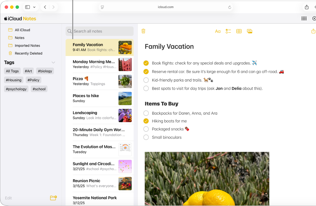 iCloud Notes interface - Evernote alternatives